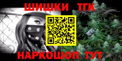 спиды Дубна