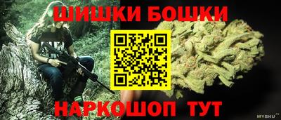 спиды Дубна