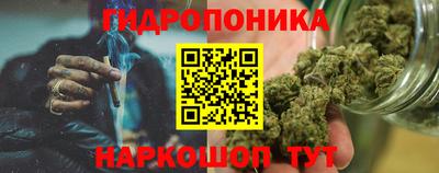 спиды Дубна