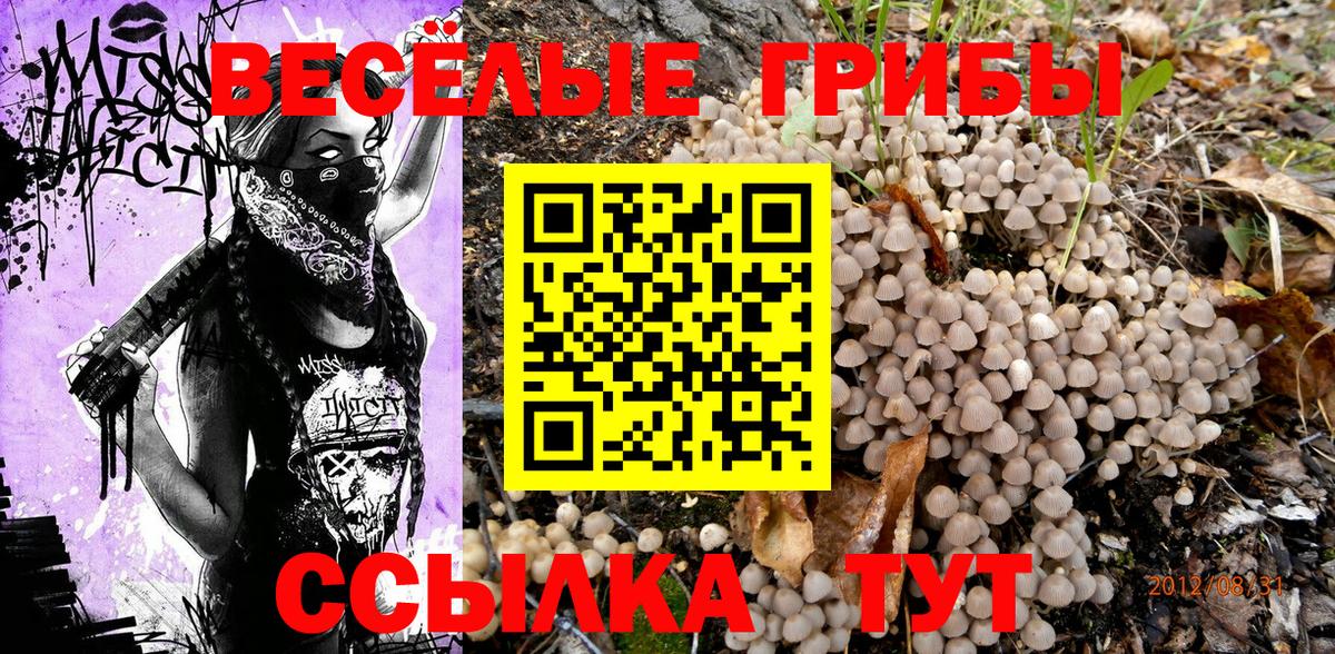 сколько стоит  Псилоцибиновые грибы Psilocybe  Вход с VPN  Нарткала  Галлюциногенные грибы ЛСД 