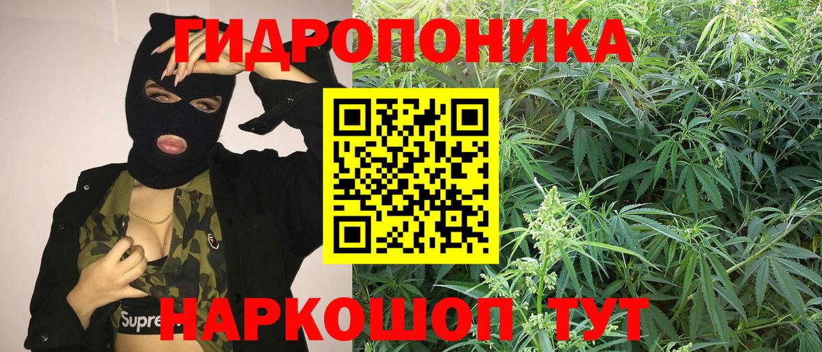Шишки марихуана SATIVA & INDICA  Вход с VPN  Бошки Шишки Ganja  Бошки Шишки SATIVA & INDICA  Нарткала  Бошки Шишки Bruce Banner 